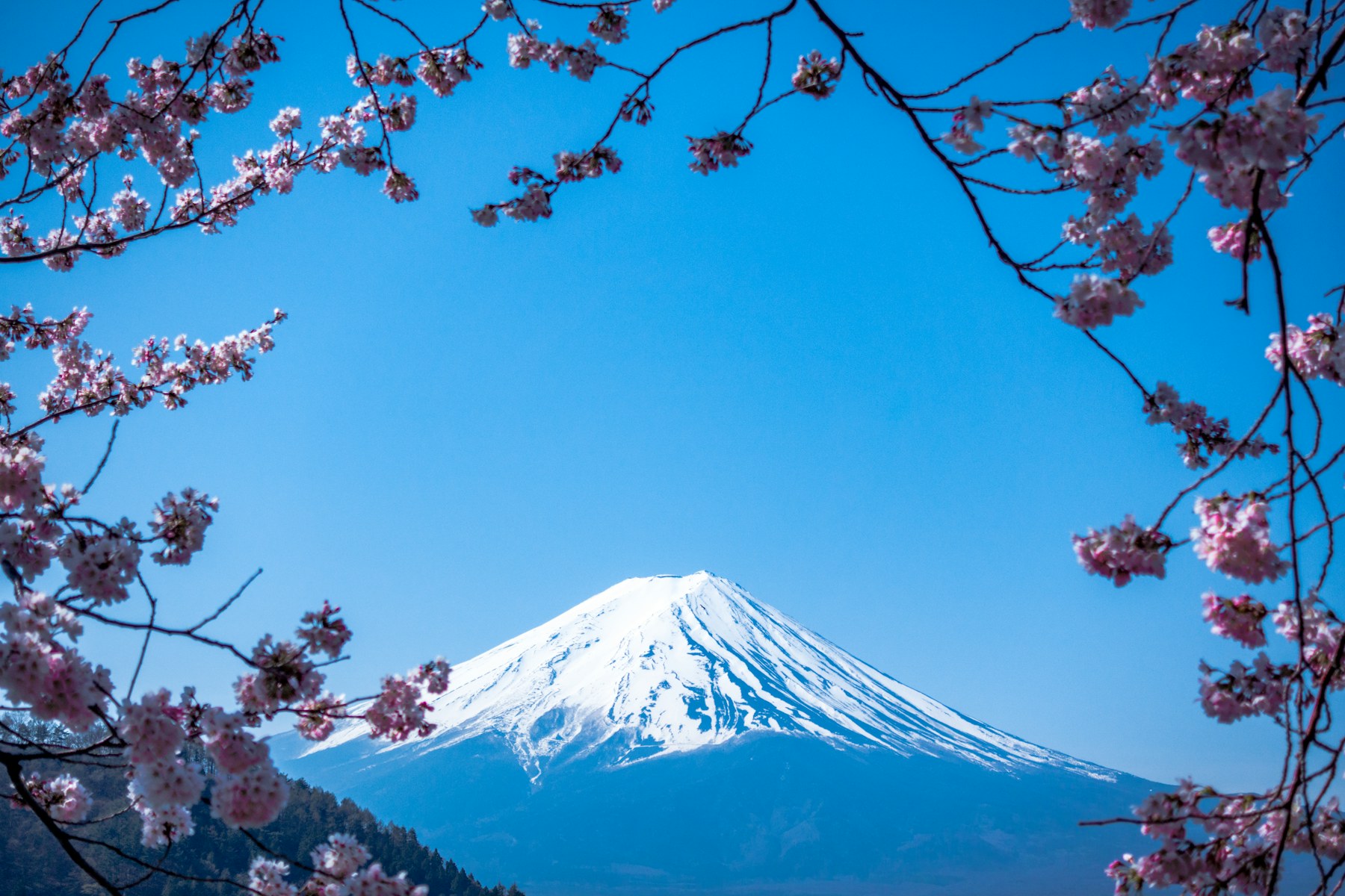 Mount Fuji in Japan