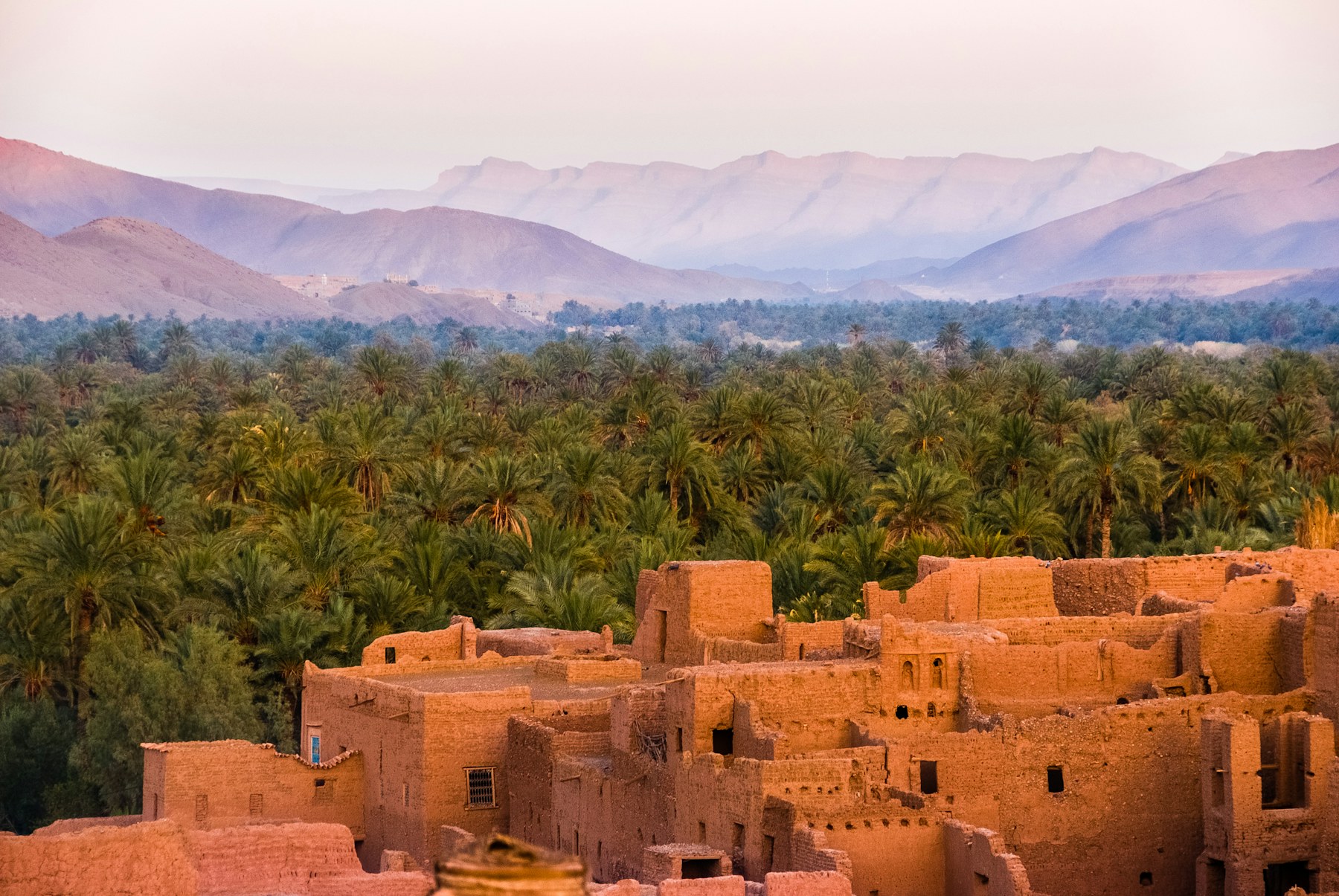 Mountain and palm landscape in Morocco
